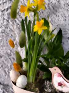 photo Création d'une décoration printanière