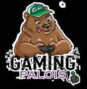 photo Après-midi jeux vidéos