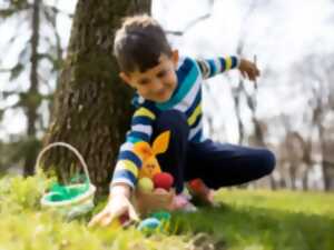 photo Chasse aux oeufs