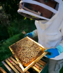 photo Journée Mondiale des Abeilles
