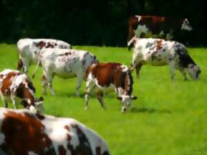 photo Les Étonnants Patrimoines : Petit troupeau pour les tout-petits