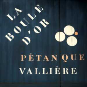 photo Concours de petanque LA BOULE D'OR