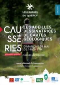 photo Les abeilles, dessinatrices de cartes géologiques Balade en territoire apicole