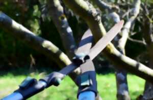 photo Stage de taille