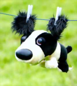 photo Musique - Le bal des doudous