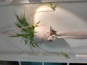 photo Atelier macramé