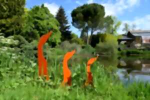 photo Sortie Nature : La vie des arbres