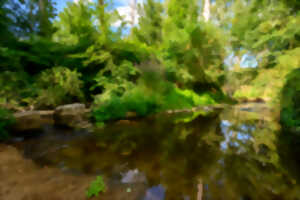 photo Balade nature à Thollet