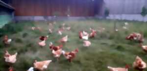 photo Secrets d’élevage : une immersion grandeur nature à la ferme