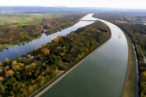 photo Balade à l’écoute de la forêt alluviale