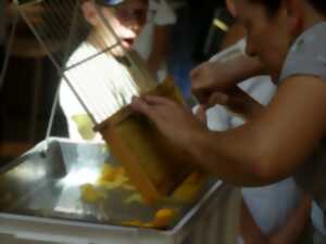 photo Fête du Miel à Terres d'Oiseaux