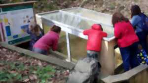 photo Voyage dans le passé