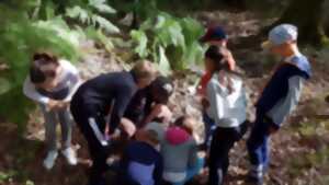 photo Les ateliers de la forêt