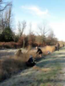 photo Vannerie sauvage