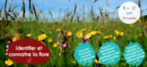 photo identifier et connaître la flore