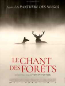 photo Cinéma Arudy : Le Chant des forêts