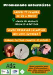 photo Promenade naturaliste