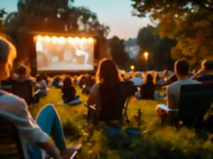 photo Soirée cinéma plein air
