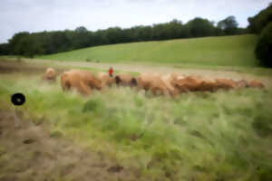 photo Plantes et Cie : bergers, bergères