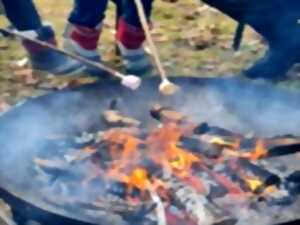 photo Un après-midi à la ferme