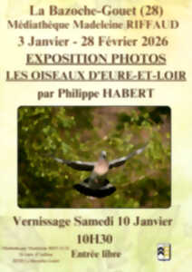 photo Exposition photographique - Les oiseaux d'Eure-et-Loir