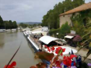 photo RALLYE DU CANAL DU MIDI EN AVIRON - ÉTAPE 7