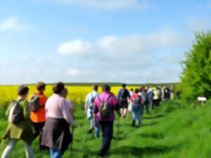 photo Randonnée pédestre