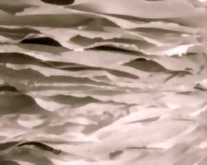 photo Support papier