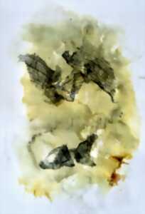 photo EXPOSITION : EVOCATION