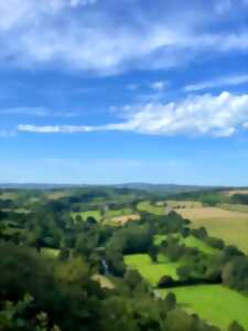 photo Sophro'balade aux roches du Ham