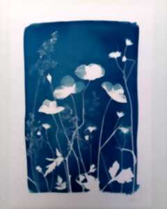 photo Expérience de Destination : je créé mon cyanotype avec les fleurs du Jardin Christian Dior