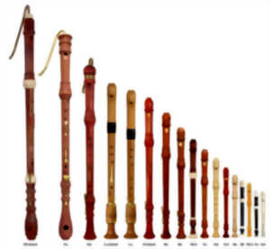 photo Mini-flûte – Maxi-flûte