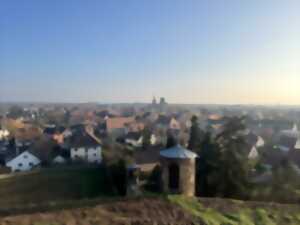 photo Initiation au trail, découverte sportive de Rouffach