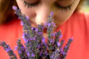 photo Conférence : l'olfactothérapie, des odeurs pour avancer dans la vie