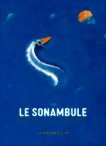 photo ATTENTION SAC POUBELLE EGARÉ