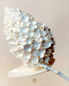 photo Atelier de création de sculptures en papier avec Véronique Hermouet