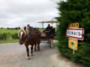 photo Découverte commentée du vignoble en calèche