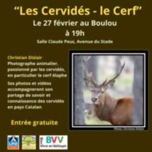 photo CONFÉRENCE SUR LES CERVIDÉS