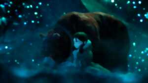 photo Ciné vacances : Krisha et le Maître de la forêt