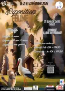 photo Exposition Féline