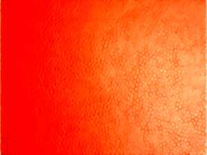 photo JEMA Journée Européenne des Métiers d'Arts