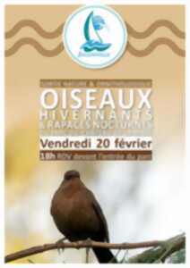 photo Sortie nature : oiseaux hivernants