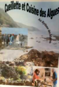 photo Cueillette, cuisine et dégustation des algues