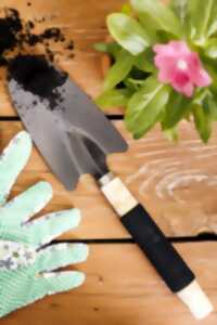 photo TROC AUX PLANTES