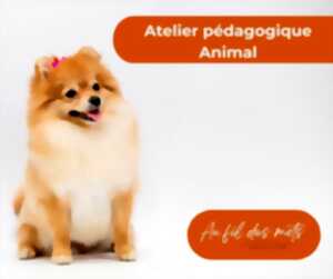 photo MÉDIATION ANIMALE : LE CHIEN (4/6 ET 7/10 ANS)