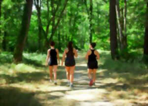 photo Promenade à Saint Méard de Dronne