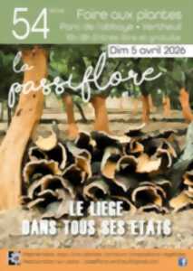 photo Foire aux plantes 