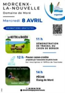 photo Animation printemps 