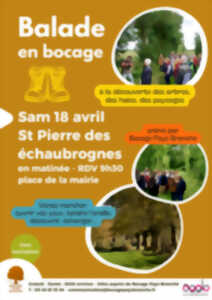 photo Sortie nature - Balade en bocage