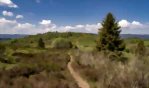 photo Sentiers Plaisir : Destins de femmes